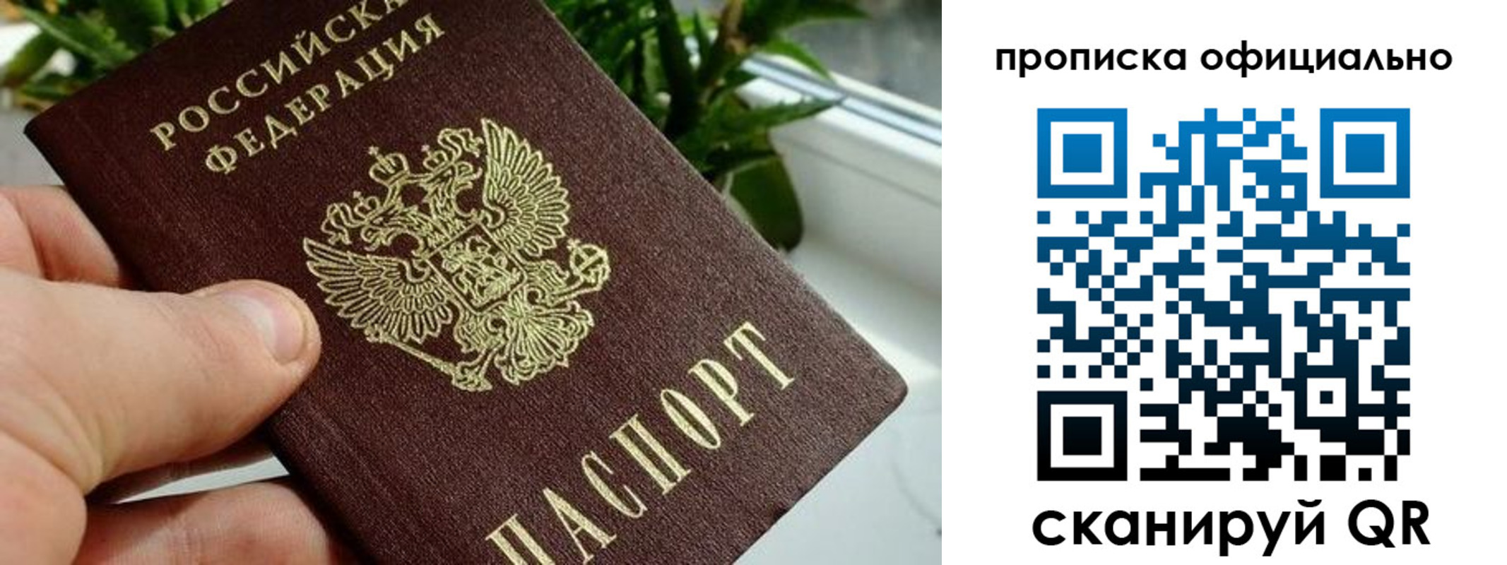 прописка поиск в Агиделе
